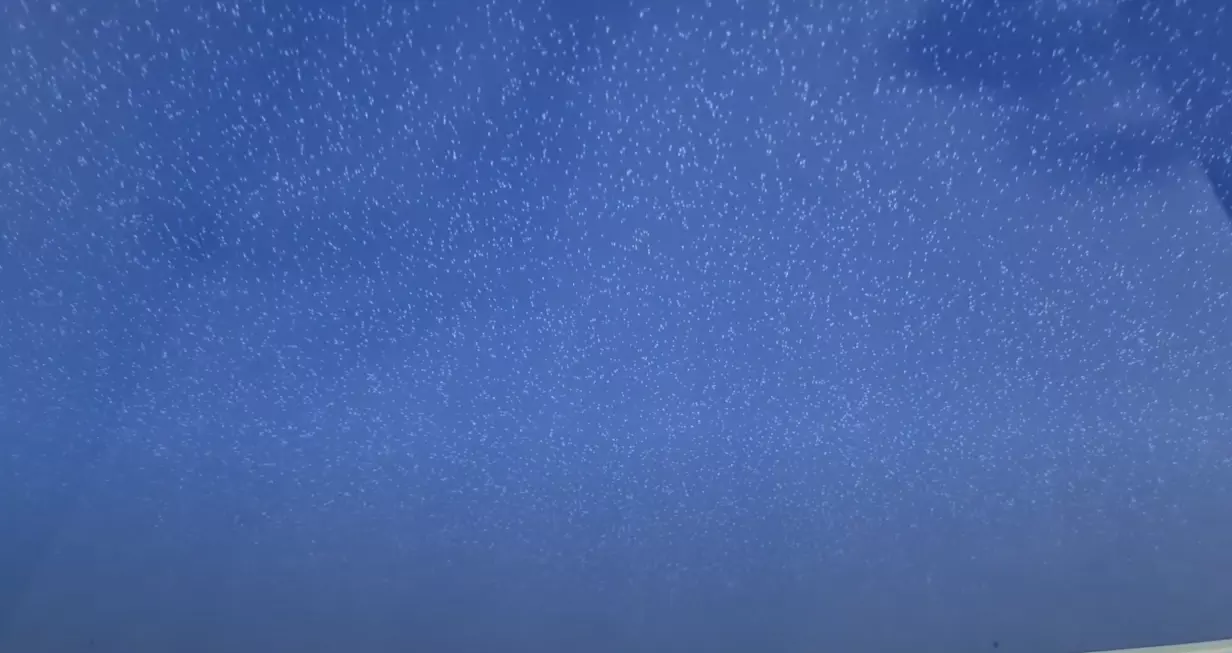 Уссурийск, Арсеньева, 33Б, фото 3