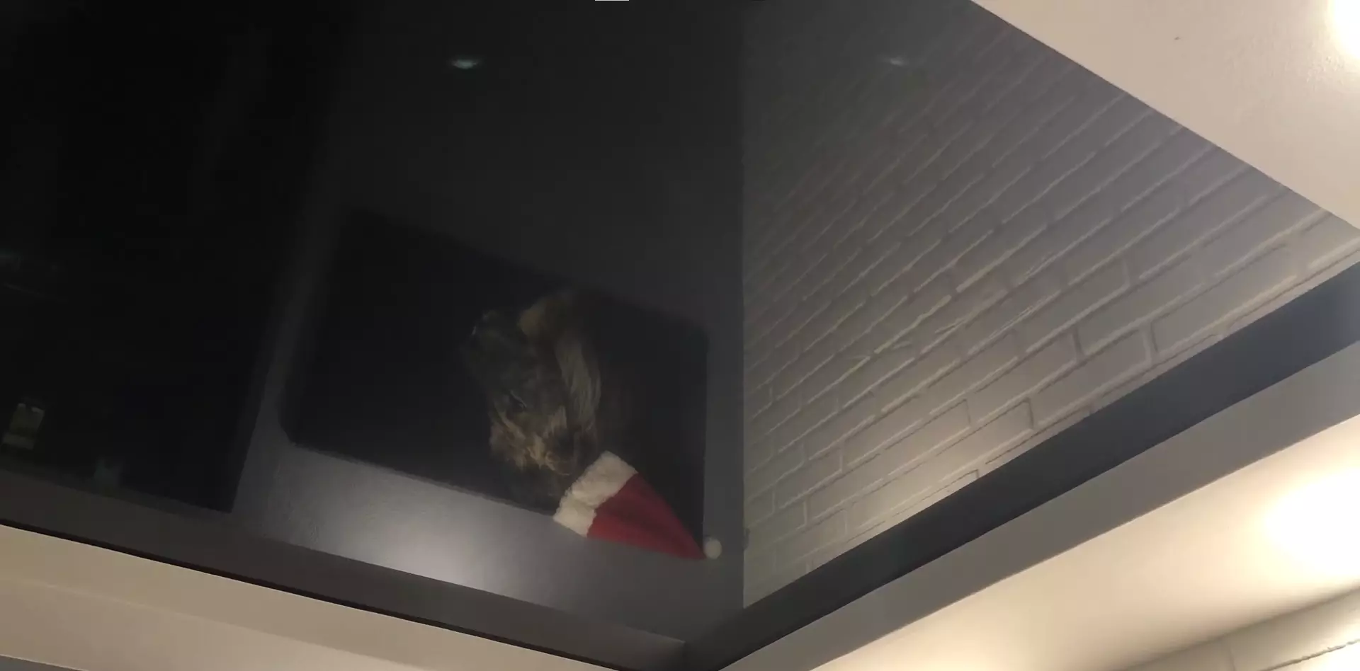 Таганрог, Чехова, 271г, фото 3